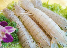 皮皮蝦為什么沒有肉？皮皮蝦為什么里面沒肉？
