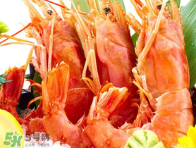 阿根廷紅蝦蝦頭能吃嗎？阿根廷紅蝦頭怎么處理？