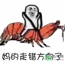 說人皮皮蝦是什么意思？女生叫男生皮皮蝦什么意思？