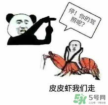 皮皮蝦為何突然火了？皮皮蝦怎么火的？