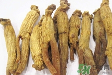 高麗參適合什么人吃？什么人不能吃高麗參？