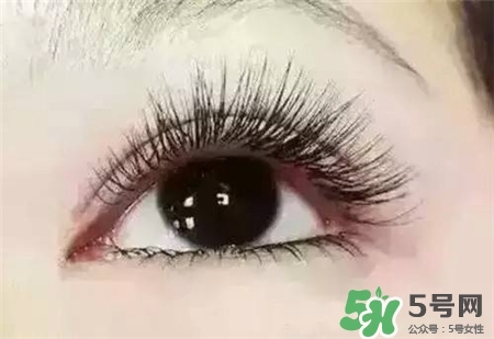 孕睫術(shù)是什么？孕睫術(shù)有用嗎？