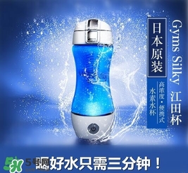 水素杯的價格是多少？水素杯日本價格多少？