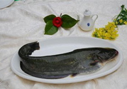 清江魚(yú)熱量高嗎？吃清江魚(yú)會(huì)胖嗎？