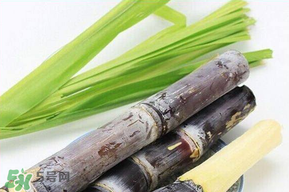 甘蔗發(fā)霉能吃嗎？吃了發(fā)霉的甘蔗怎么辦？