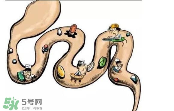 便秘吃什么藥好？便秘吃什么藥最快排便？