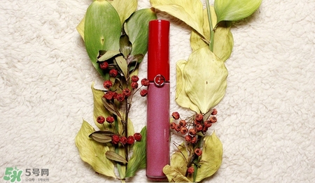 肉桂色口紅哪個(gè)牌子好？肉桂色口紅推薦
