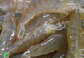 活蝦灌膠水是真的嗎？活蝦灌膠水人吃了會(huì)有什么害處？