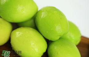 青棗吃多了會(huì)胖嗎？吃青棗會(huì)不會(huì)發(fā)胖？