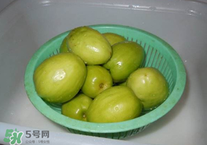 一斤青棗的熱量是多少？吃一斤青棗會胖嗎？