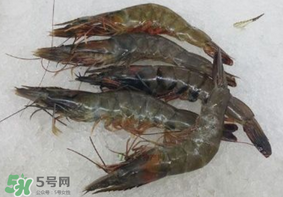 青蝦變黑了還能吃嗎？青蝦為什么變黑？
