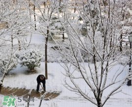 春天下雪意味著什么？春天為什么會(huì)下雪？