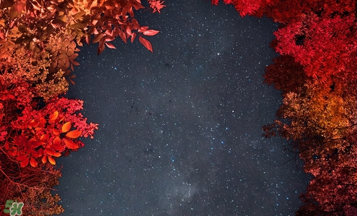 紅棕色是什么顏色？紅棕色口紅試色