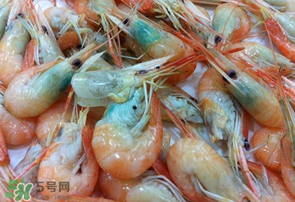 蝦變綠了能吃嗎？?jī)鑫r變綠了能吃嗎？