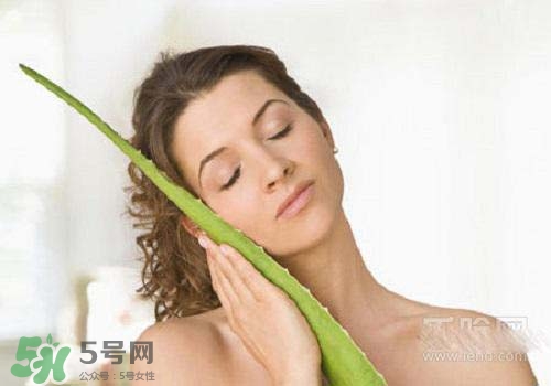 蘆薈涂在臉上發(fā)癢是怎么回事？蘆薈涂在臉上發(fā)癢怎么辦？