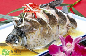 魚有禽流感嗎？吃魚會得禽流感嗎？
