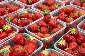 草莓爛了點(diǎn)皮可以吃嗎？草莓表皮發(fā)白是爛了嗎？