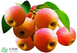 南國梨為什么有酒味？南果梨有酒味能吃嗎？