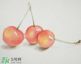 櫻桃有點苦怎么回事？櫻桃有點苦可以吃嗎？