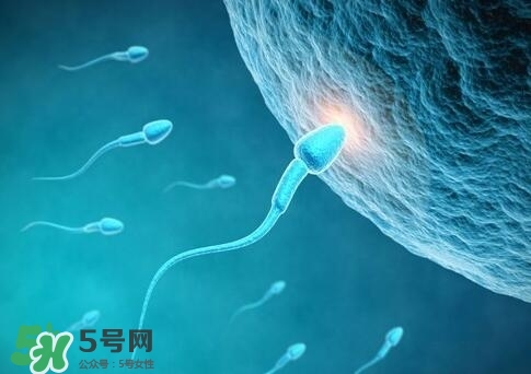 如何提高精子質(zhì)量與成活率？精子質(zhì)量怎么調(diào)理？