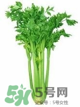 負卡路里的食物有哪些？負卡路里食物真的吃不胖嗎？