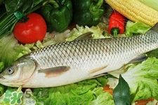 草魚能生吃嗎？草魚可以直接生吃嗎？