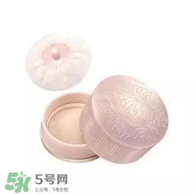 2017珠光散粉哪個牌子好？2017珠光散粉推薦
