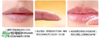 愛麗小屋唇部磨砂膏怎么樣？愛麗小屋唇部磨砂膏和悅詩風(fēng)吟哪個好？