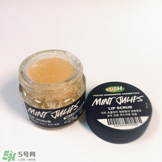 lush唇部磨砂膏怎么用？lush唇部磨砂膏使用方法