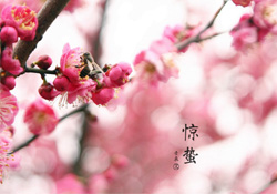 驚蟄如何養(yǎng)生？驚蟄前后如何養(yǎng)生？
