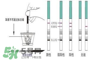 驗孕試紙準嗎？驗孕試紙怎么看求圖解