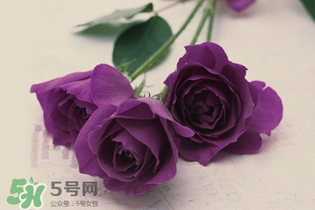 4月份適合種什么花？四月份種什么花好？