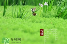 驚蟄節(jié)氣要注意什么？驚蟄節(jié)氣養(yǎng)生注意事項(xiàng)