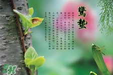 驚蟄節(jié)氣要注意什么？驚蟄節(jié)氣養(yǎng)生注意事項(xiàng)