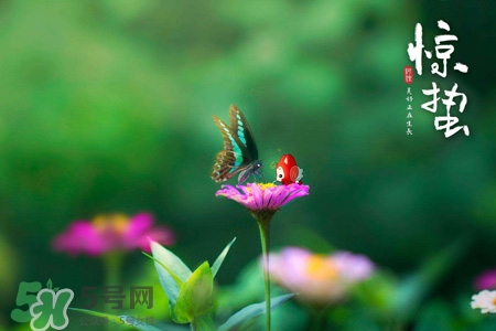 驚蟄節(jié)氣吃什么水果？驚蟄養(yǎng)生吃什么水果好？