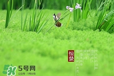 驚蟄如何養(yǎng)生？驚蟄前后如何養(yǎng)生？