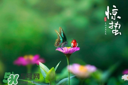驚蟄如何養(yǎng)生？驚蟄前后如何養(yǎng)生？