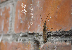 驚蟄可以去掃墓嗎？驚蟄可以去上墳嗎？