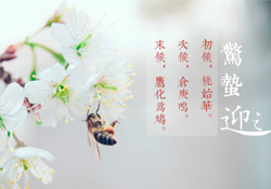 驚蟄怎么打小人？驚蟄如何打小人？