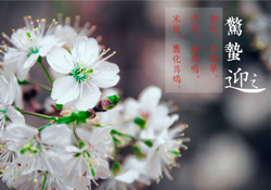 驚蟄為何要打小人？驚蟄為什么要打小人？