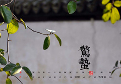 驚蟄可以動針線嗎？驚蟄為什么不動針線？