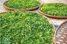 4月份喝什么茶好？四月份適合喝什么茶？