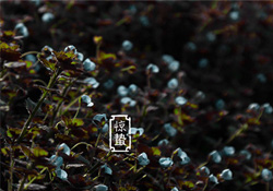 驚蟄節(jié)氣要注意什么？驚蟄節(jié)氣養(yǎng)生注意事項(xiàng)