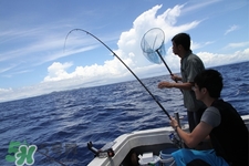 三月份可以釣魚了嗎？三月份好釣魚嗎？