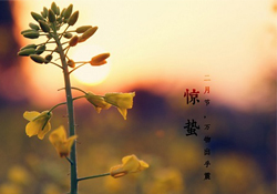 驚蟄能去廟里祈福嗎？驚蟄要去廟里祈福嗎？