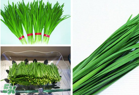 驚蟄前后可以種什么？驚蟄前后種什么蔬菜？