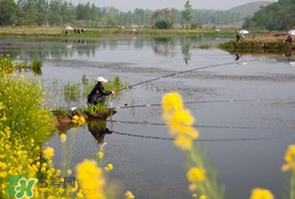 驚蟄前后好釣魚(yú)嗎？驚蟄前后釣魚(yú)技巧