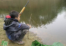 驚蟄能釣魚嗎？驚蟄釣什么魚好？