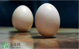 春分為什么能豎蛋？春分豎蛋原理