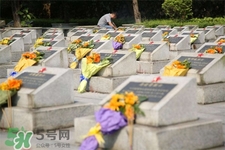 平時可以去掃墓嗎？平常可以去上墳嗎？